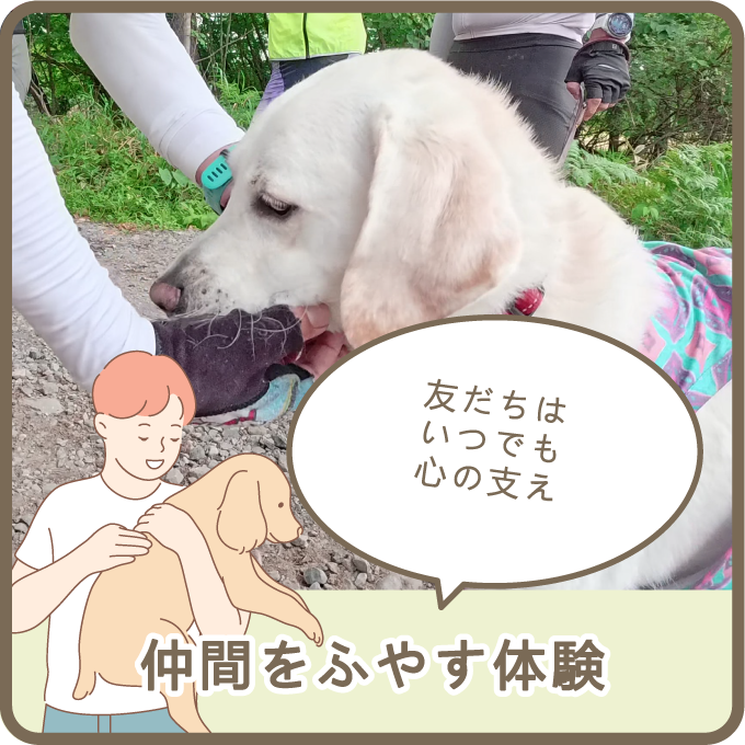 仲間をふやす体験